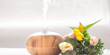 Pranarôm Aromaforce Spray Assainissant Ravintsara Tea Tree Bio
