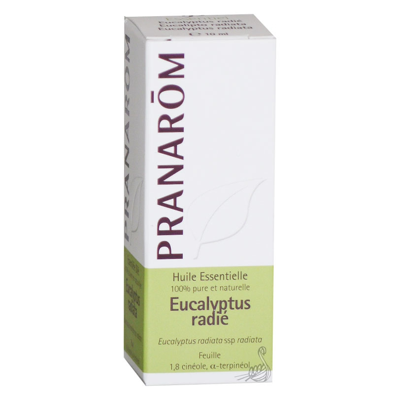 Huile essentielle Pranarom à l'eucalyptus radié - Clinique de