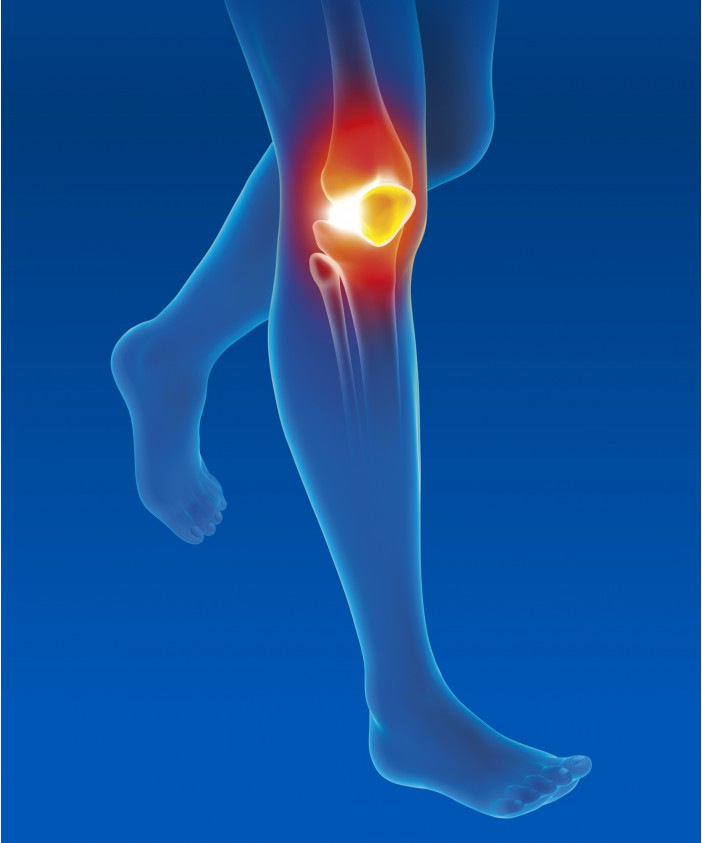 Genouillère ligamentaire Epitact