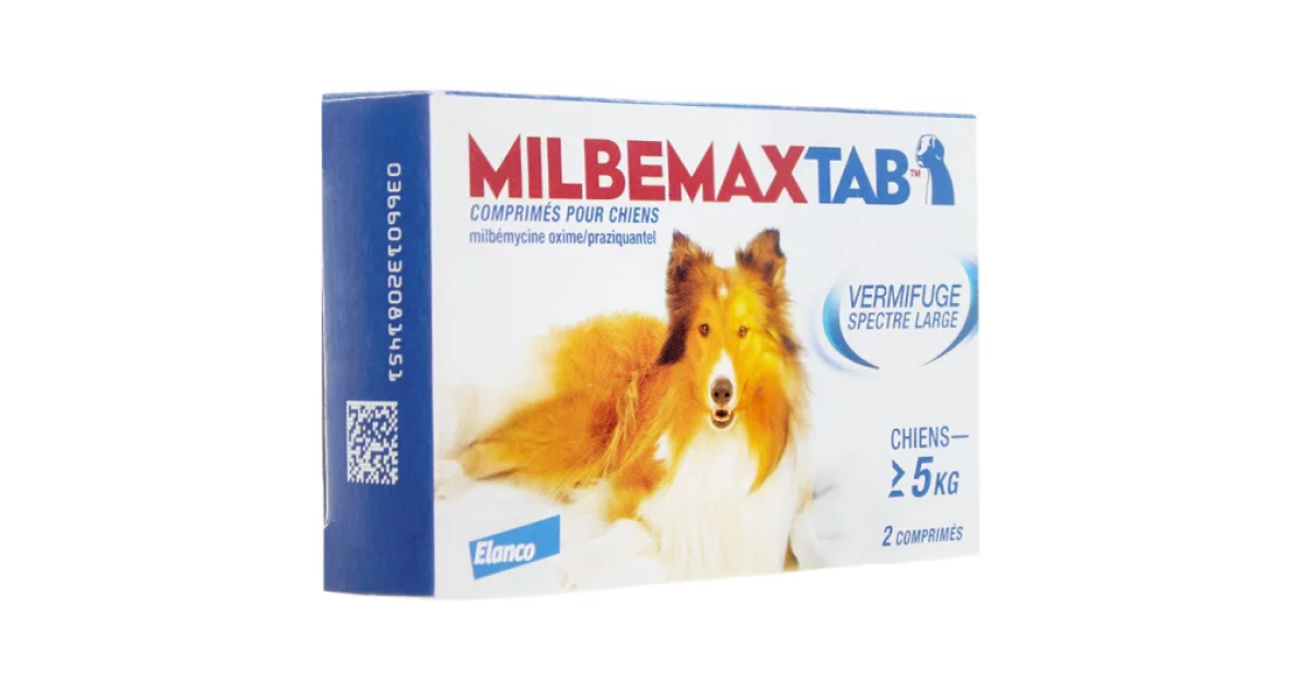 MilbemaxTab™ et Milbemax™Chew : Vermifuges pour chiens