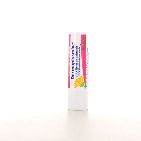 Boiron Dermoplasmine Stick lèvres hydratant apaisant