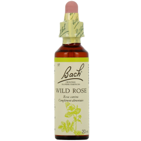 Fleurs de Bach WILD ROSE – n°37 20 ml