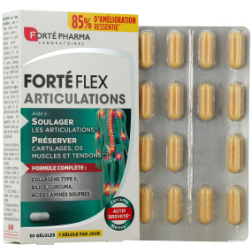 Forté Flex Articulations