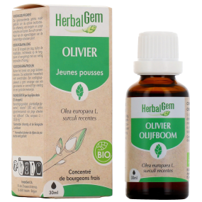 Herbalgem Olivier Bio