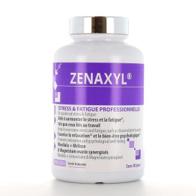 Ineldea Zenaxyl Stress et fatigue 90 gélules