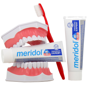 Meridol Parodont Expert Dentifrice
