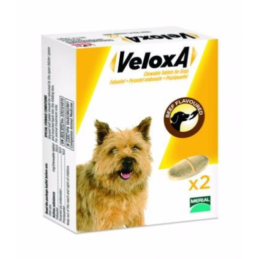 Frontline Veloxa chien Boite de 2 comprimés