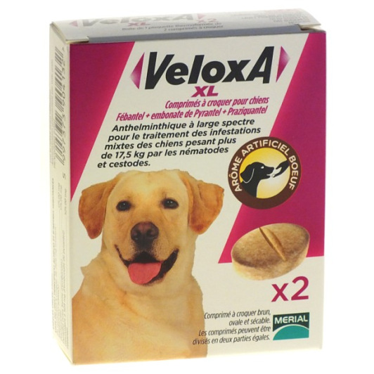 Frontline Veloxa chien XL Boite de 2 comprimés